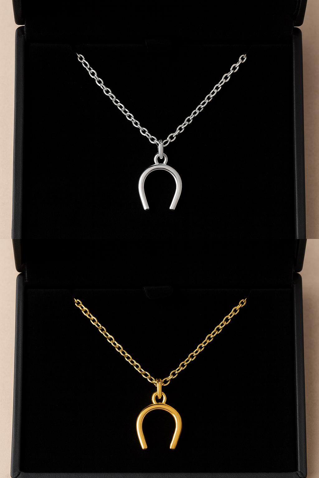 Two horseshoe-shaped necklaces, one gold and one silver, displayed in an open black box.