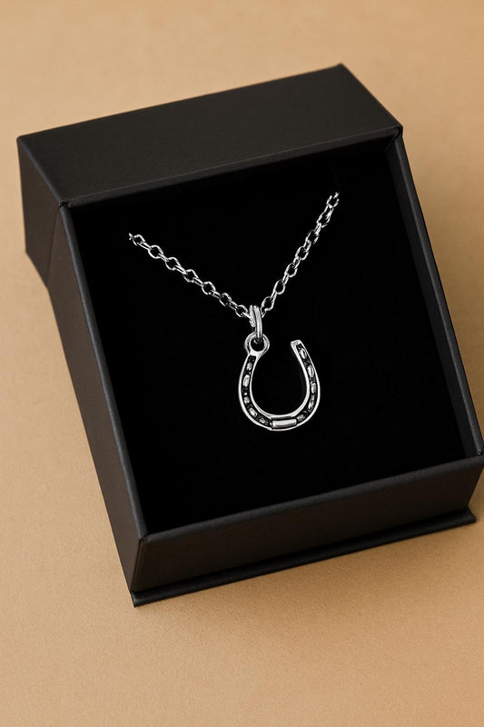 Silver horseshoe necklace in a black box on a beige background
