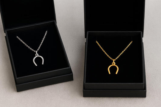 Two horseshoe-shaped necklaces, one silver and one gold, in black display boxes on a light gray background.
