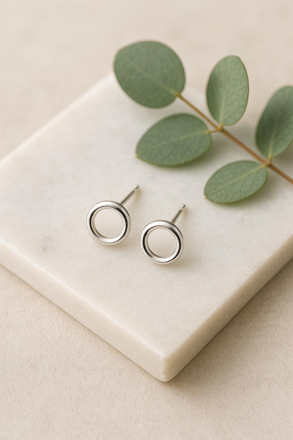 Silver circle earrings on a marble surface with green leaves